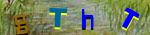 Try a new Captcha code